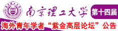 穴啊啊啊操公公南京理工大学第十四届海外青年学者紫金论坛诚邀海内外英才！